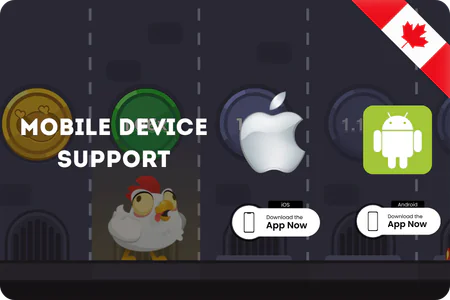 Chicken Road game Mobile device support